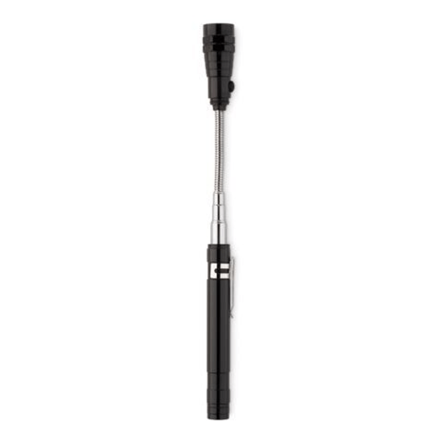 Extendable torch