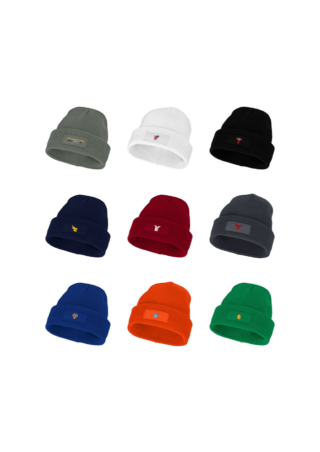 Boreas beanie with patch