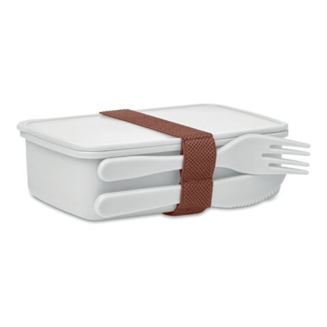 Lunch box with cutlery