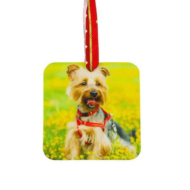 Felt Air Freshener