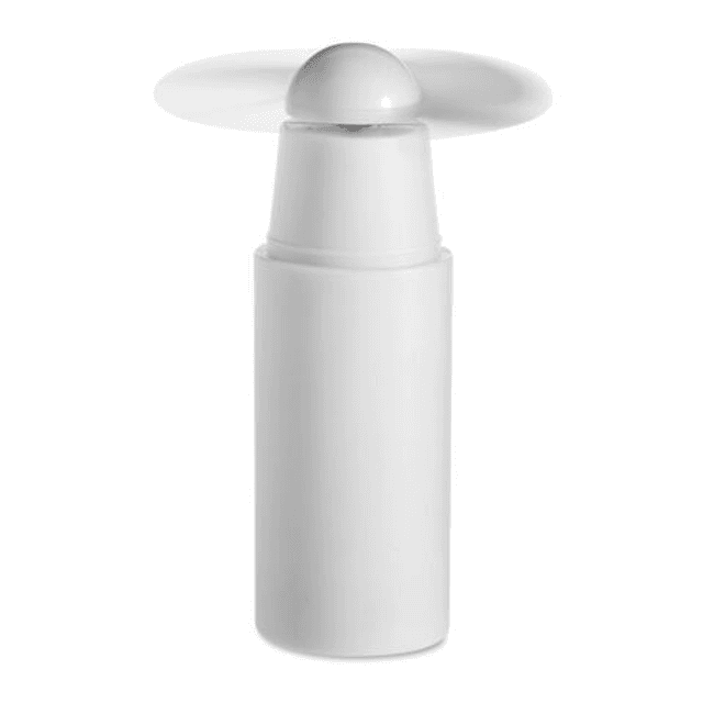 Mini fan